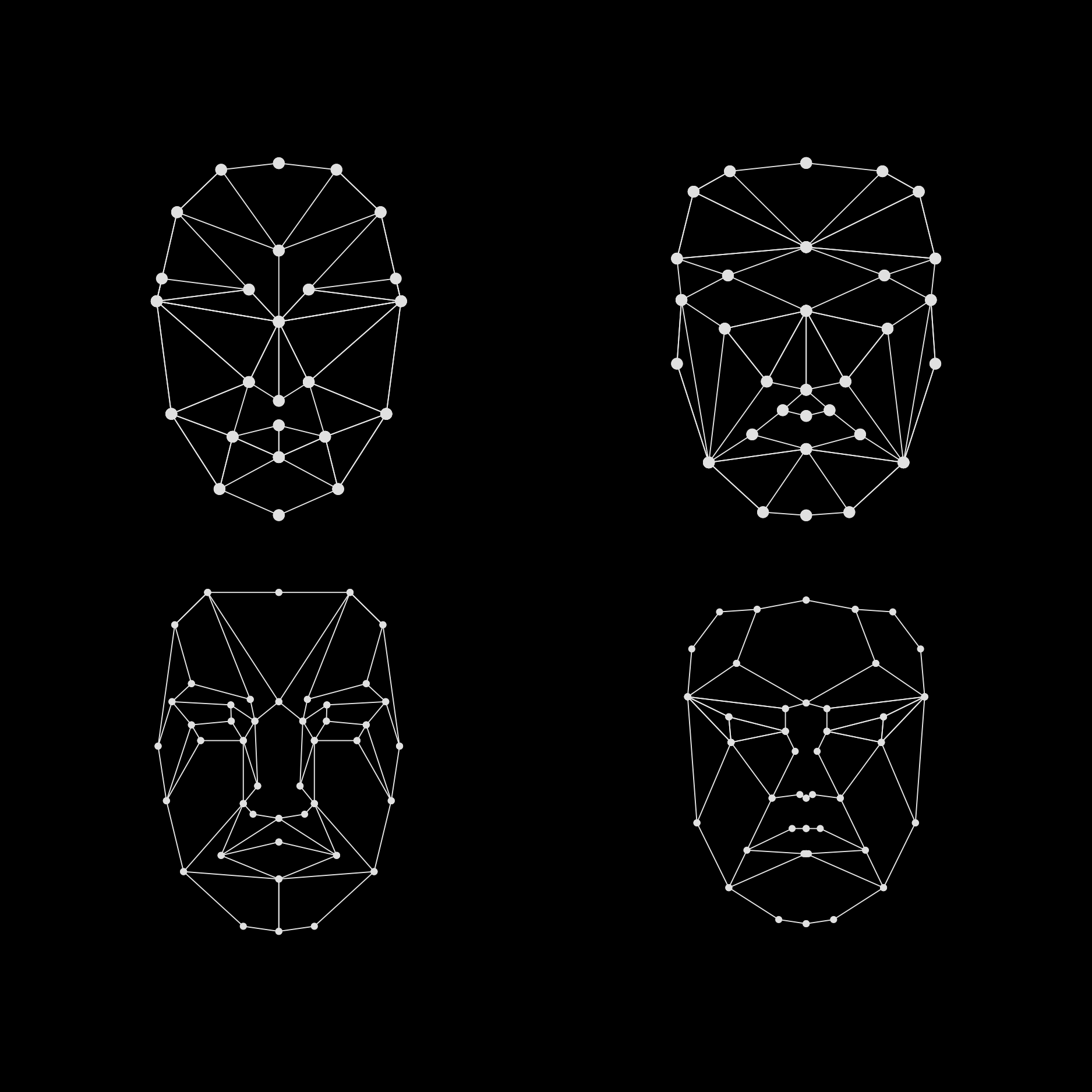 Facial recognition regulation in the USA: an efficient legal patchwork?